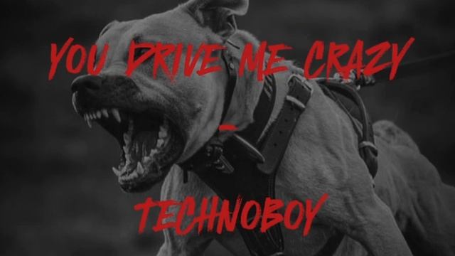 YOU DRIVE ME CRAZY - TECHNOBOY / SLOWED DOWN