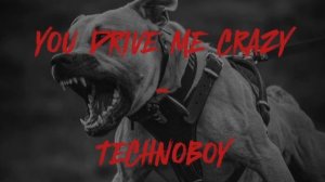 YOU DRIVE ME CRAZY - TECHNOBOY / SLOWED DOWN