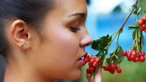 Екатерина Семёнова - Горчит калина