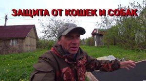 КАК ЗАЩИТИТЬ ГРЯДКИ ОТ КОШЕК И СОБАК. Используем подручные материалы.