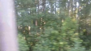 Электропоезд Финляндский вокзал - Белоостров