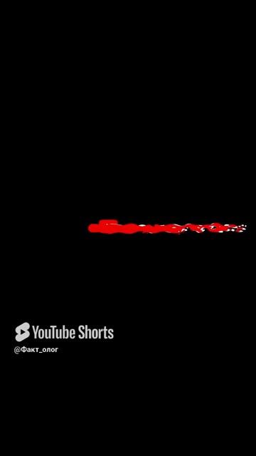 Лишнии килограммы