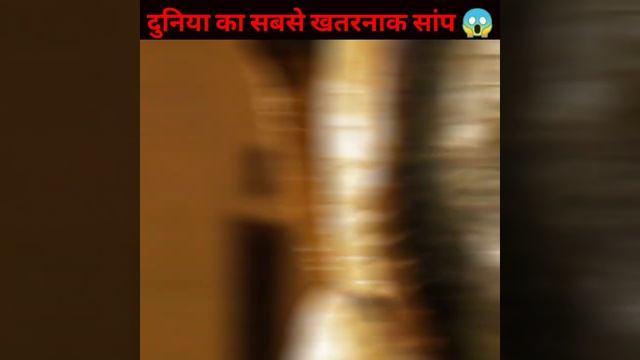 world biggest snake 😱 || #Mayankkumar || смотреть онлайн