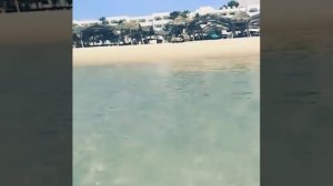 Отель Le Hammamet