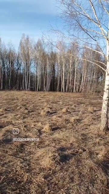 Соло кемпинг.Одиночный отдых на природе.Отдых в палатке.Прекрасный костер. смотреть онлайн