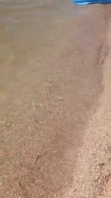 Коса Долгая Азовское море @GD_KOVCHEG_DOLZHANSKAY