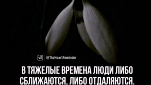 4 января 2021 г. смотреть онлайн