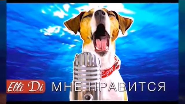 Элиди смотреть онлайн