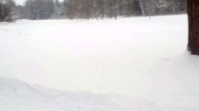 Александрский парк в Пушкине смотреть онлайн