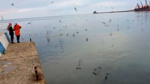 Феодосия. Прогулка по городу. Крымский репортаж.wmv
