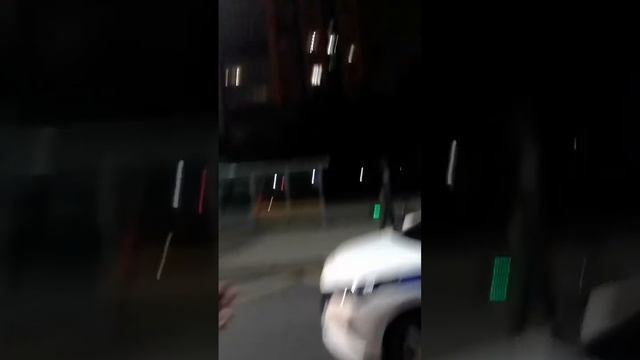 Полицаи, от меня сбежали!!! И это Питер!!! смотреть онлайн