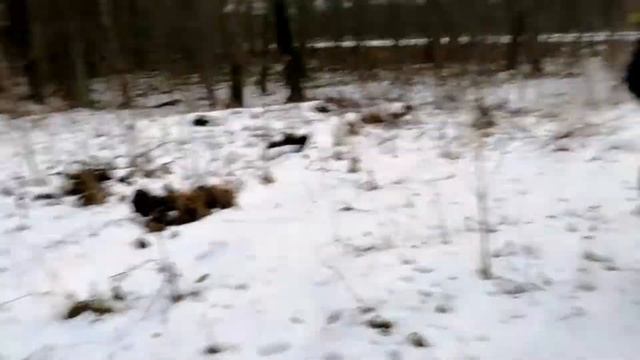 Пробрался в Заброшеный Ресторан (1972)года "2 часть" смотреть онлайн