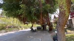 ТАИЛАНД ПАТТАЙЯ. ОТЕЛЬ NATURAL PARK. САМЫЙ ЖИВОПИСНЫЙ И БЮДЖЕТНЫЙ ОТЕЛЬ