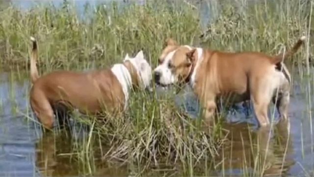 Начинаются летнии каникулы!!! смотреть онлайн