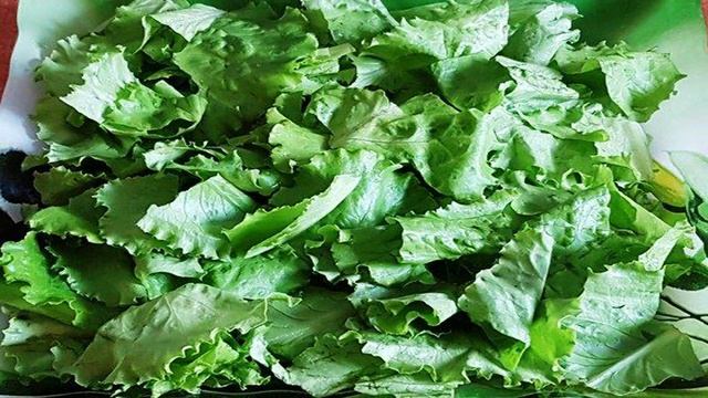 Сборник рецептов