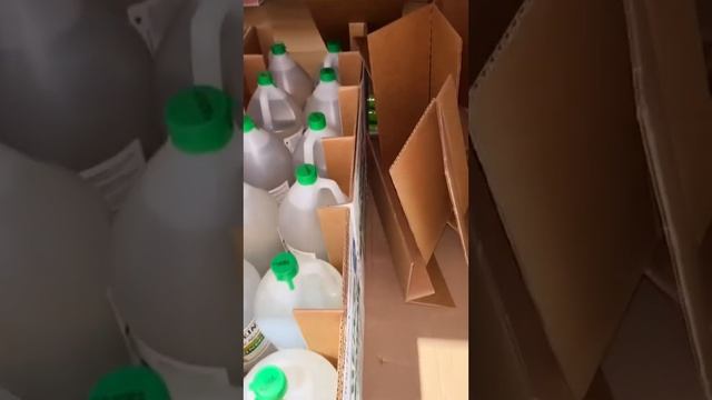 Небольшая закупка в Costco 🇺🇸