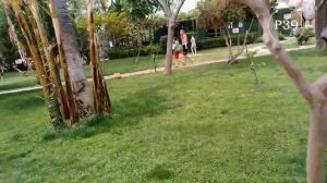 Lycus Beach Алания обзор отеля и территории