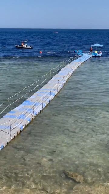 Egypt 2022. Hotel Albatros Royal Grand. Sharm el Sheikh. Египет.Шарм эль Шейх. Красное море смотреть онлайн