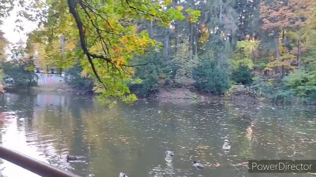 Разница жизни между Украиной и Польшей. Мой опыт 2 года жизни в Польше. смотреть онлайн