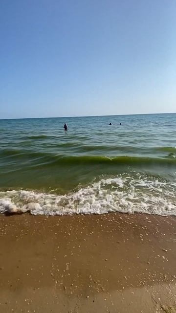 Анапа/Витязево #переездвкраснода# #жизньвкраснодаре #анапа#витязево смотреть онлайн