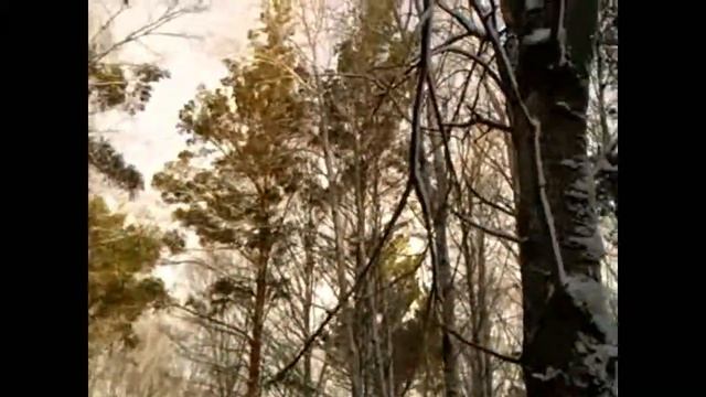 Зверобой. смотреть онлайн