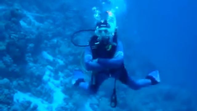 Шарм-Эль-Шейх ч.3 смотреть онлайн