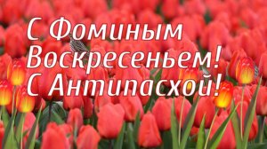 Открытка. Фомино воскресенье. Красная Горка. Антипасха. Поздравление