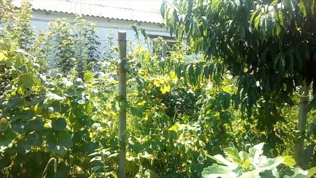 Друзьям по ютубу привет! смотреть онлайн