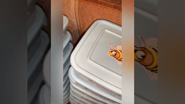 Пчёлы в Кабардинке ! смотреть онлайн