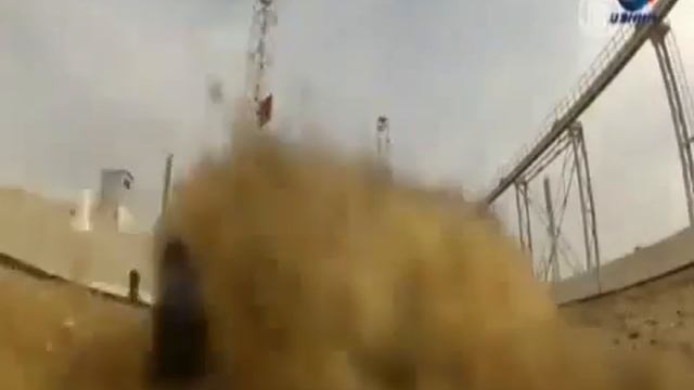 Прикольный суслик!!! смотреть онлайн