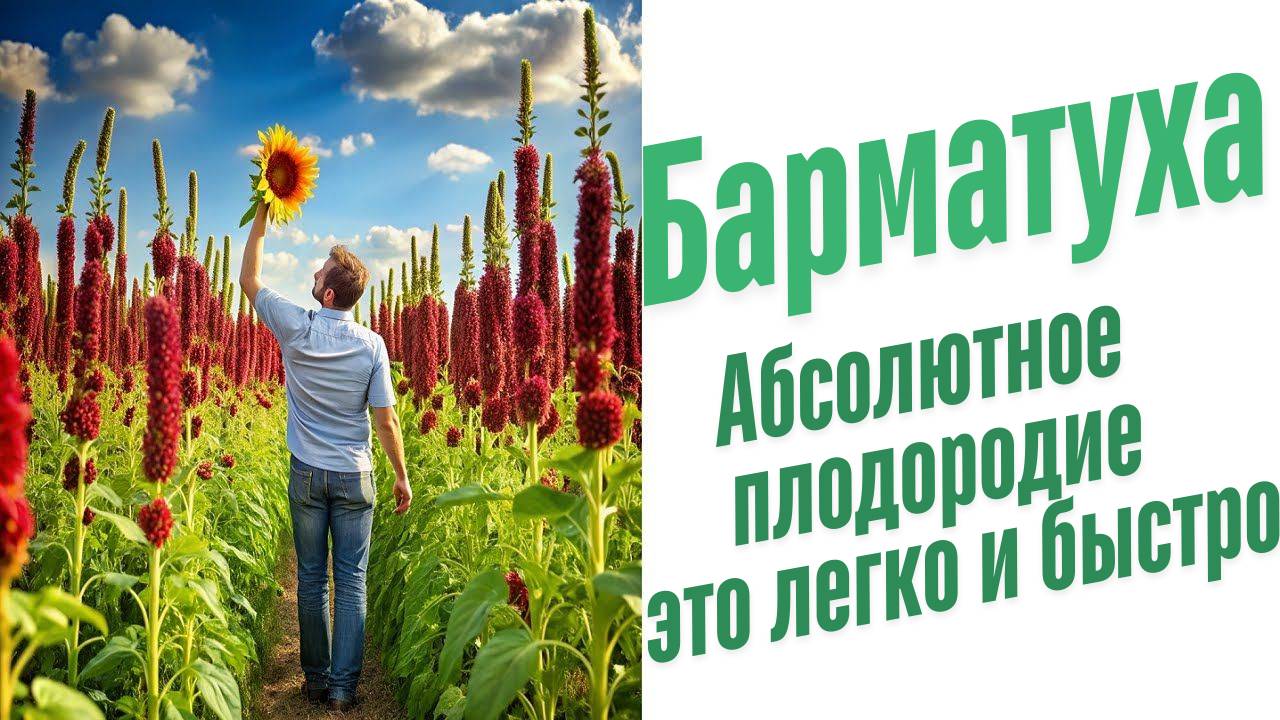 Какое удобрение лучше весной? смотреть онлайн