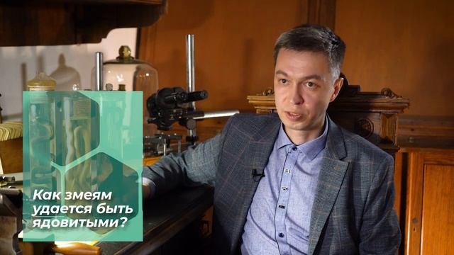 Ужи кусаются или нет? Как змеям удается быть ядовитыми? // "КАК ТАК?" Выпуск 19 Ч.1 смотреть онлайн