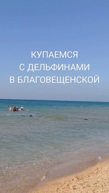 24 сентября 2023 г. Благовещенская смотреть онлайн