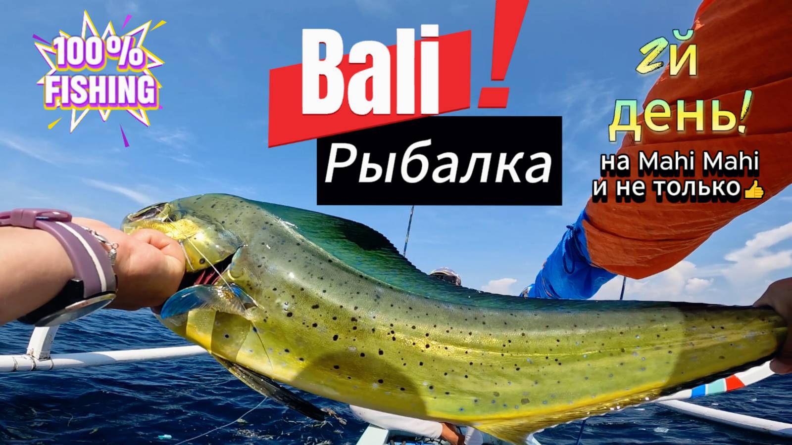 Рыбалка на острове Бали.  На махи махи и не только! День2
