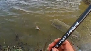 Лагань Отдых и рыбалка 2024 год