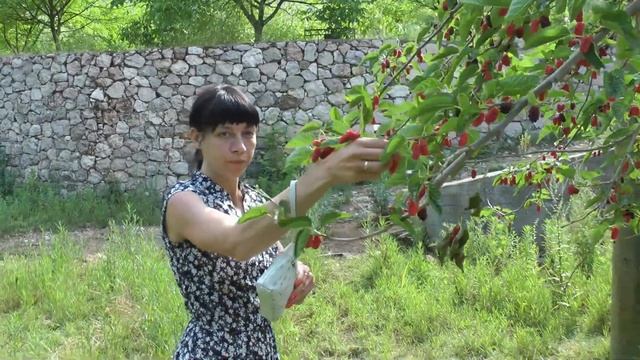 Кемер 05 2017 смотреть онлайн