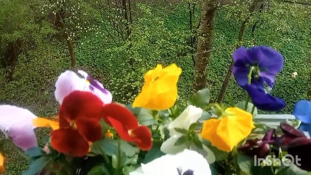 весна пришла