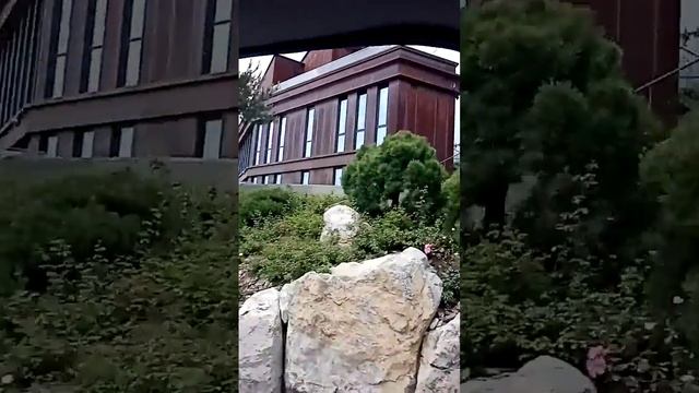 Крым отель Мрия (июнь 2023г) смотреть онлайн