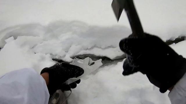 GROUSE HUNTING IN SIBERIA 2022. YAKUTIA