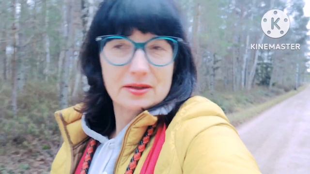 Я из Латвии. Почему я не ездила в Россию смотреть онлайн