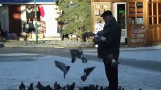 Бювет мінеральних вод №2. Адреса: м.Трускавець смотреть онлайн