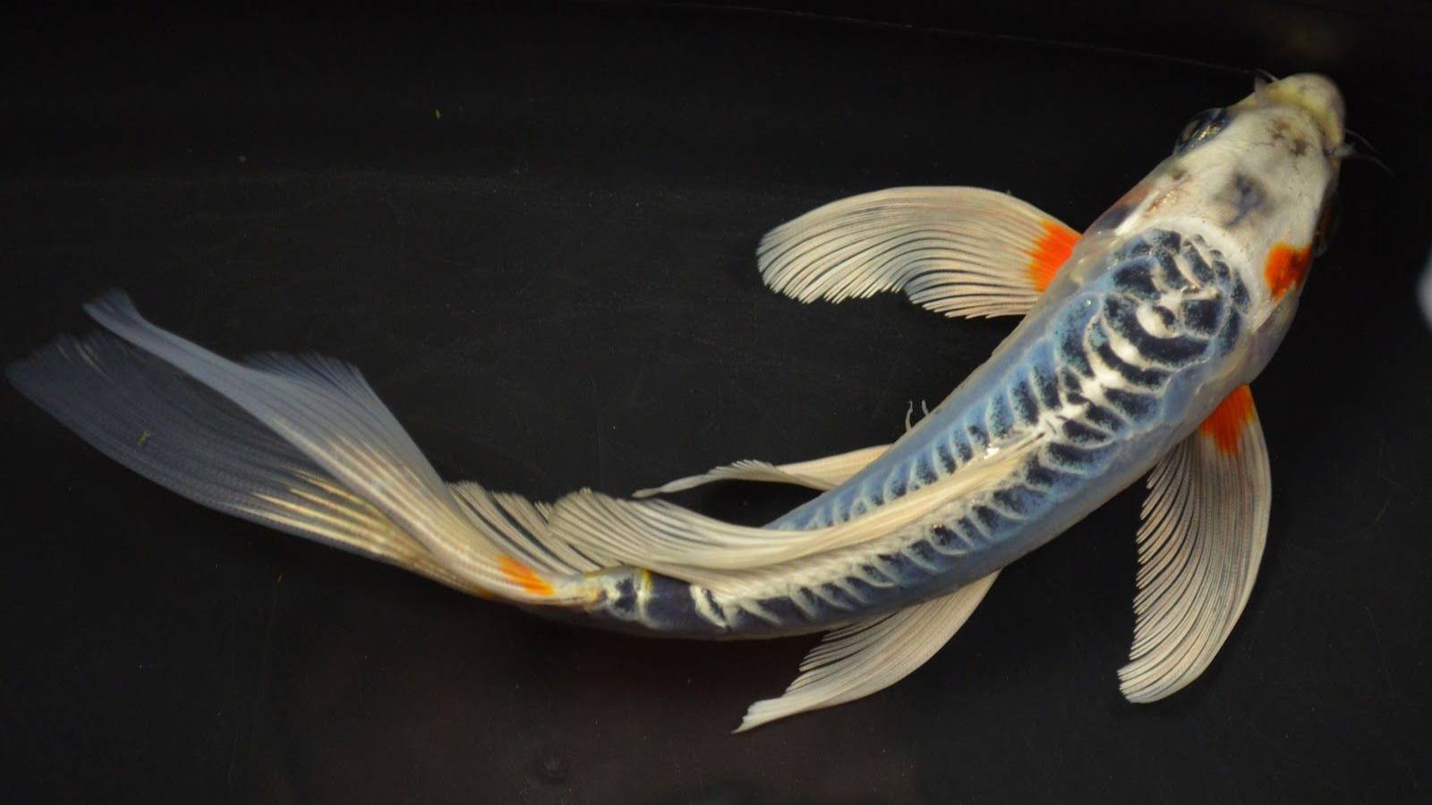 РР4 озеро Медное- как клёв сегодня? (104 серия)