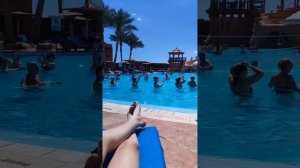 Обзор отеля Charmillion Sea Life (Шарм-эш-Шейх)