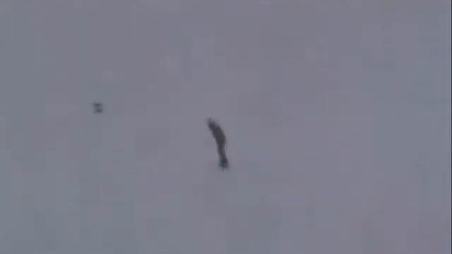 Северный склон 2005 смотреть онлайн