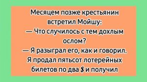 Сборник еврейских анекдотов! 😁 Лучшие смешные еврейские анекдоты. Одесские анекдоты про евреев.