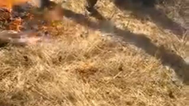 оставь мне хоть на чай то! смотреть онлайн