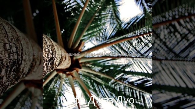 Магазин смотреть онлайн