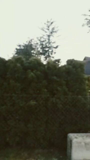 Отель "Tatra",Закопане.#закопане #польша #zakopane смотреть онлайн