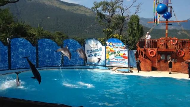 Дельфины - супер!! смотреть онлайн