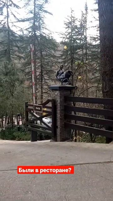 Мамай Кале Сочи, были в этом ресторане? #shorts смотреть онлайн